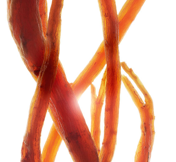 Ginseng-Organic red ginseng extract-Panax ginseng root extract