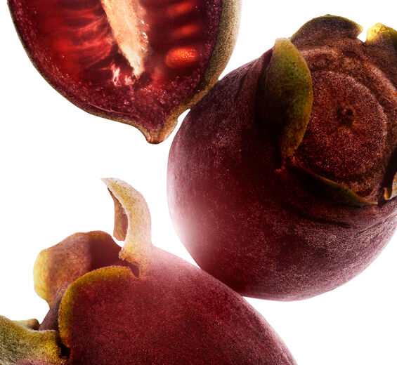 Rose-myrtle-Rose-myrtle extract-Rhodomyrtus tomentosa fruit extract