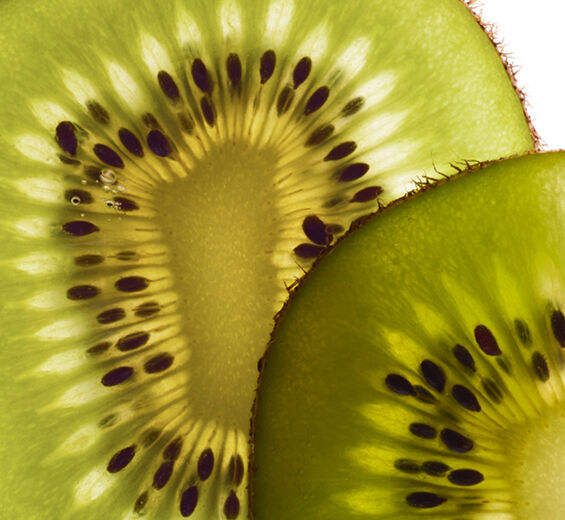 Kiwi-Organic kiwi extract-Actinidia chinensis (kiwi) fruit extract