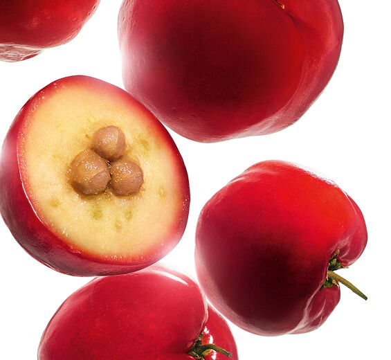 Acerola-Acerola extract-Malpighia emarginata (acerola) fruit extract