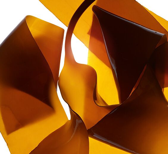 لاميناريا-مستخلص اللاميناريا-Laminaria digitata extract