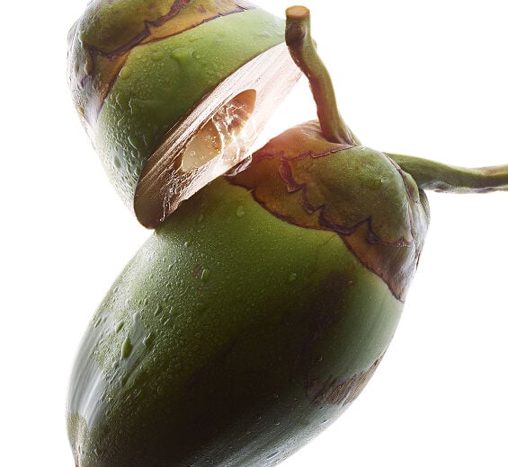 شجرة جوز الهند-ماء جوز الهند العضوي-Cocos nucifera (coconut) fruit juice