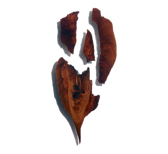 البوكوا-مستخلص البوكوا-Bocoa prouacensis extract