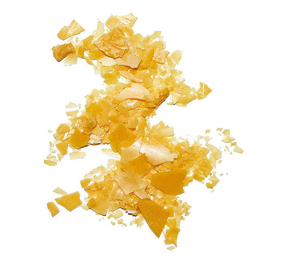 الكارنوبا-شمع الكارنوبا-Copernicia cerifera cera/copernicia cerifera (carnauba) wax/cire de carnauba,copernicia cerifera (carnauba) wax