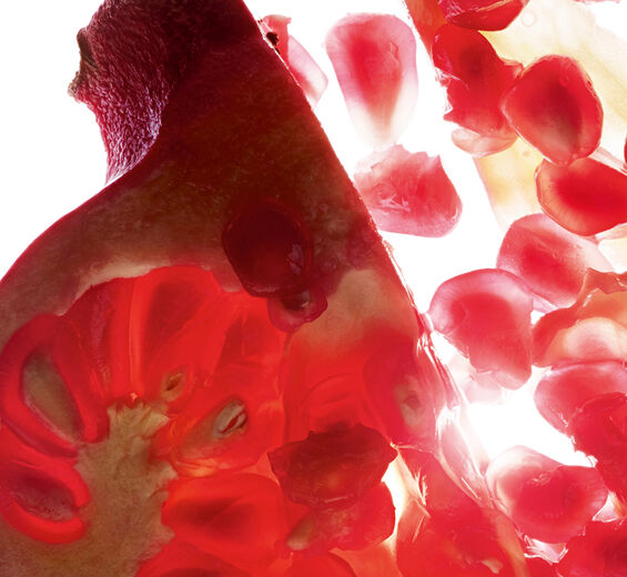 شجرة الرمان-خلاصة شجرة الرمان (نبات عضوي)-Punica granatum bark extract