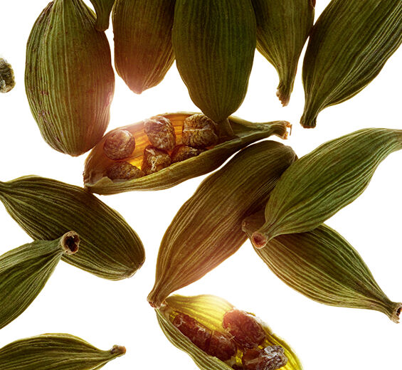 الهيل-زيت الهيل العطري-Elettaria cardamomum seed oil