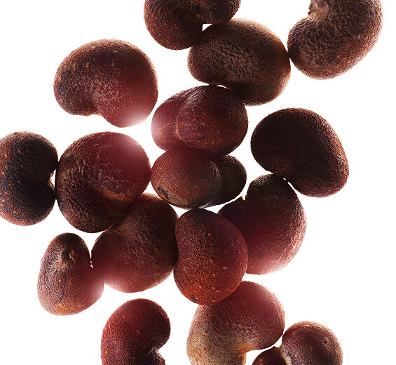 Baobab-Organic baobab oil-Adansonia digitata seed oil