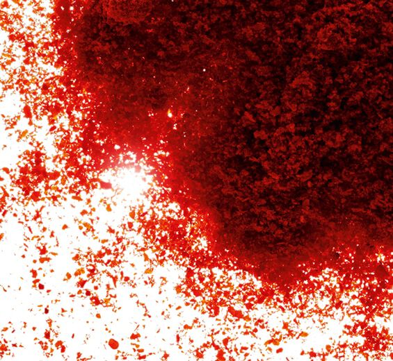 البابريكا-مستخلص البابريكا-Capsicum annuum fruit extract