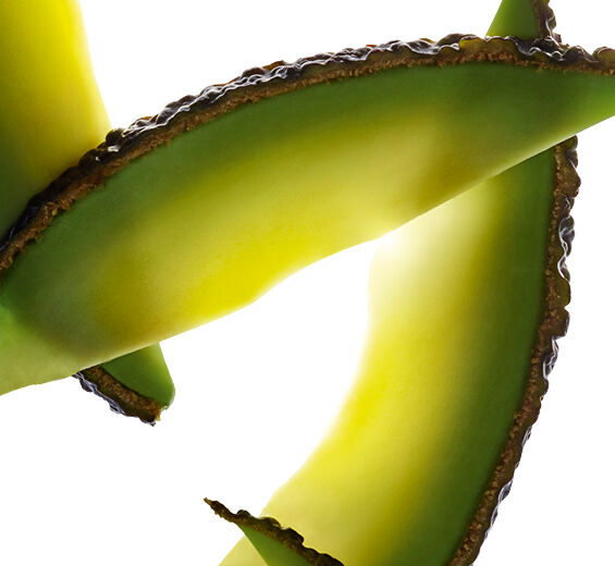 Avocado-Organic avocado oil-Persea gratissima (avocado) fruit extract