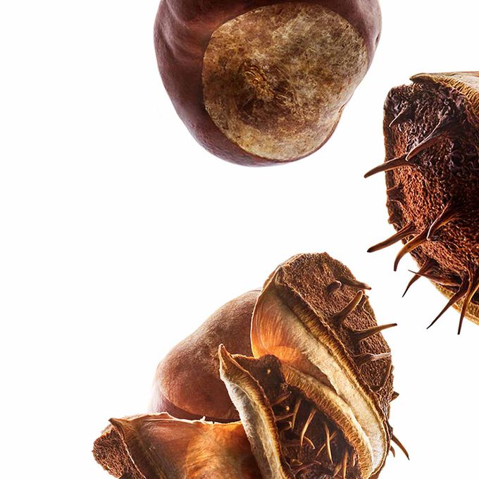 كريم النهار "نوتري لوميير"