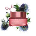 Multi-Active Night Cream Dry Skin