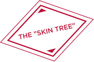 Cosmetic benefit of mimosa tenuiflora stamp