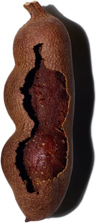 Tamarind