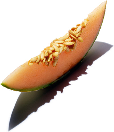 Cantaloupe melon