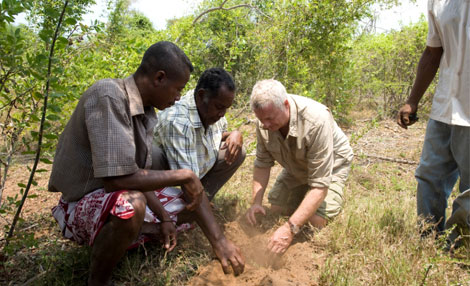 >Christian Courtin-Clarins in the centella asiatica collection area in Madagascar