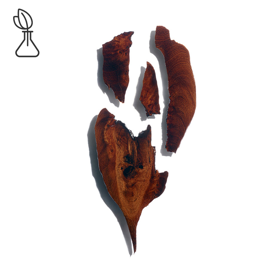 البوكوا-مستخلص البوكوا-Bocoa prouacensis extract