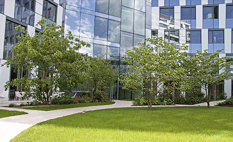 Clarins Headquarters